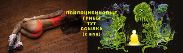первитин Дмитров