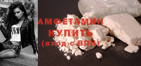 мдпв Кизел
