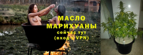 дживик Надым