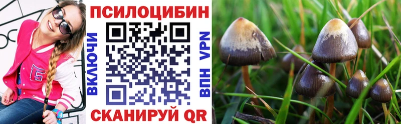 Галлюциногенные грибы мухоморы  Нурлат 