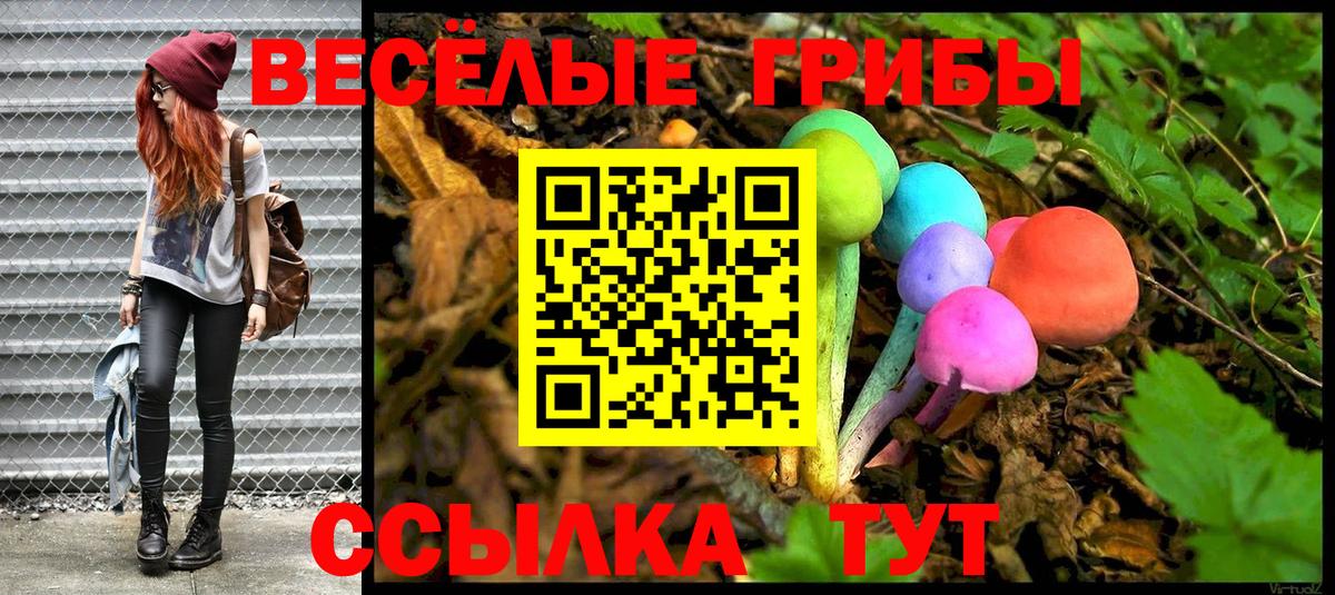 Галлюциногенные грибы прущие грибы  Псилоцибиновые грибы GOLDEN TEACHER  Нурлат  Вход с VPN 