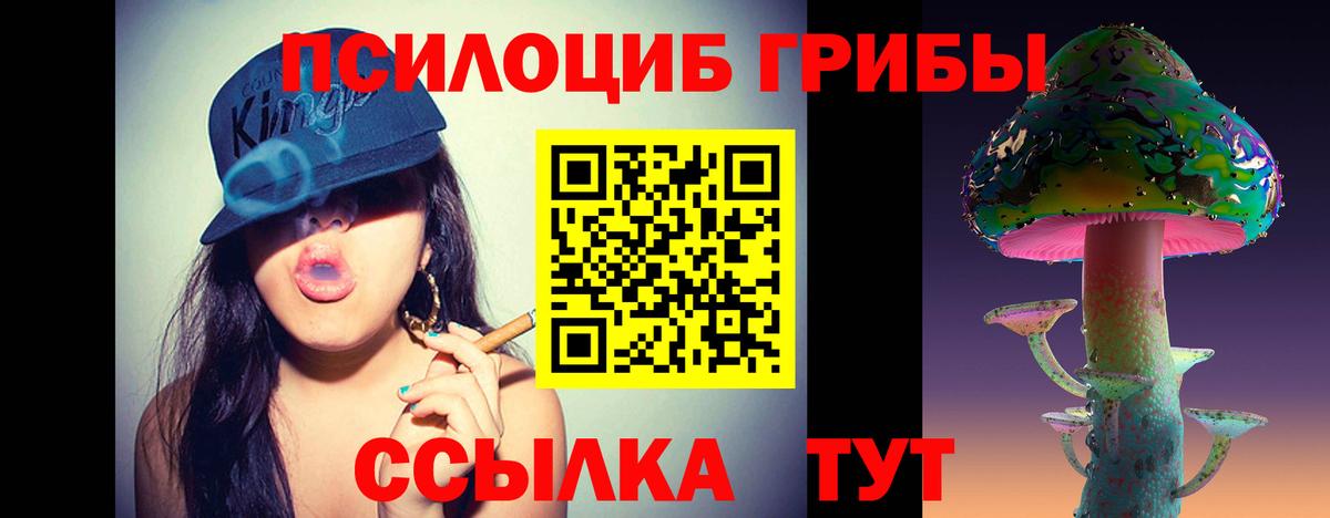 Псилоцибиновые грибы мицелий Нурлат